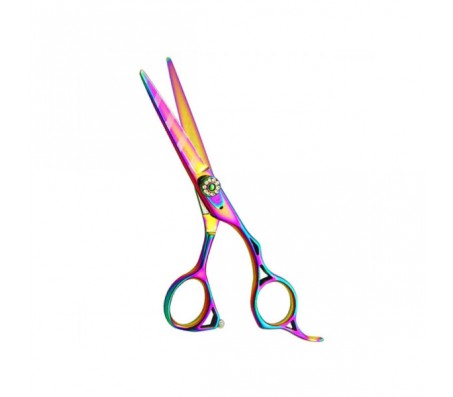 Professional Hair Cutting Scissors